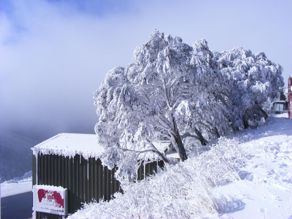 Villa Arlberg Hotham à Mount Hotham Extérieur photo